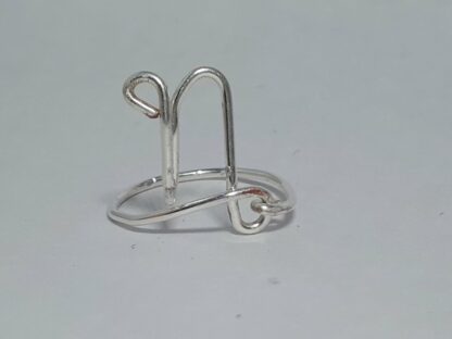 Capricorn/steenbok Zodiac Sign Ring
